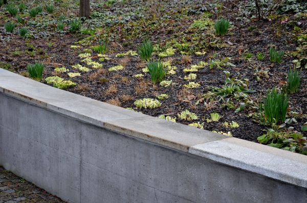 Concrete Wall Construction in New Lenox